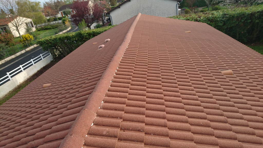 TOITURE  après  lavage